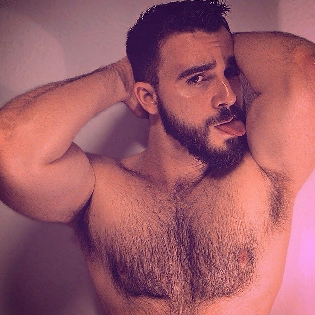 scruffyjizzmonkey:  beardburnme: | ardillagenocida