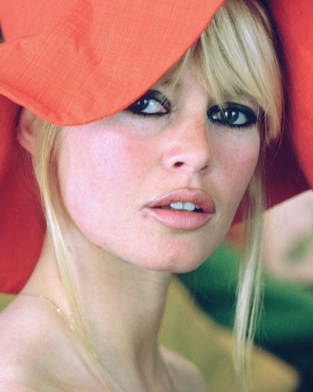 redrola:  Br bardot.