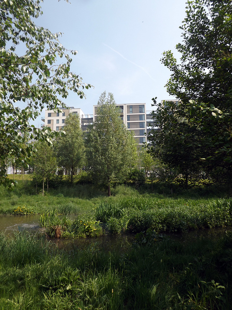 Olympic Park