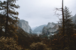 jasonincalifornia:  Making my way up to Inspiration Point(Instagram|Prints)