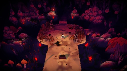 Some Post Game Darkwood And Anura