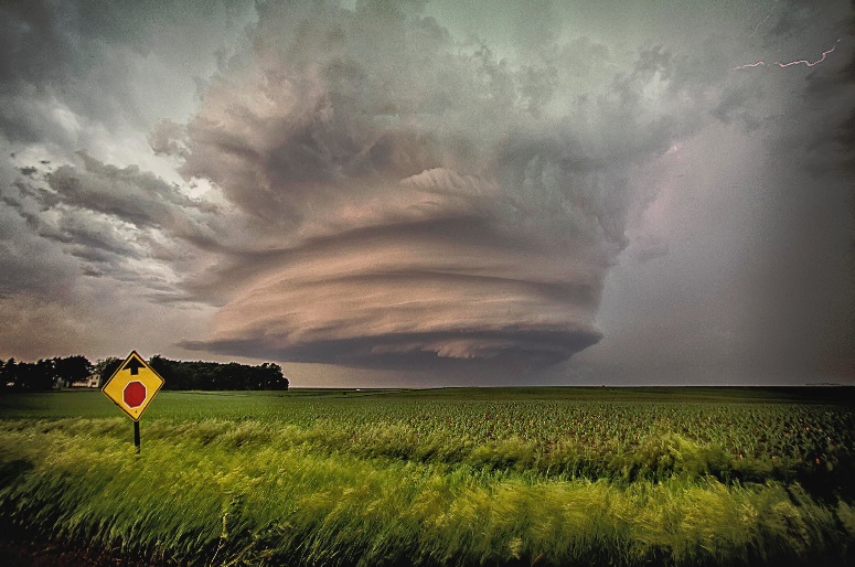 end0skeletal:  (by Caleb Elliott)  Kewl.