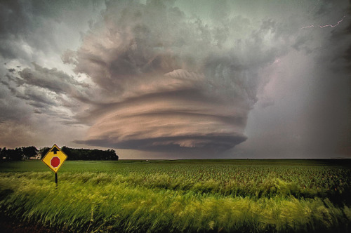 end0skeletal:  (by Caleb Elliott)  Kewl.