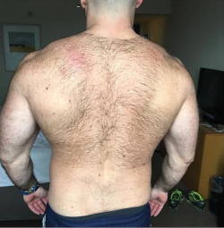 malemotive:Christof Trafford and his man Dirk - hairy back views.