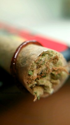 tristanemoffet:  Twax Master Kush Spliff