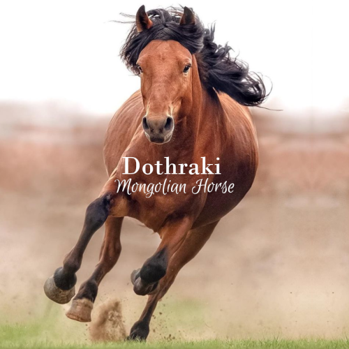 Populating The Dothraki Sea, This Horse Is Short, But Stocky. They Are Valued For Their Exceptional Hardiness