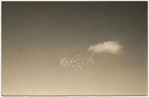 yama-bato: Masao Yamamoto radiusbooks.org/books/yamamoto-masao-tori/