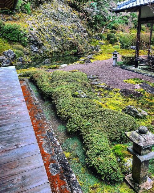 青源寺庭園 [ 高知県佐川町 ] ② Seigen-ji Temple Garden, Sakawa, Kochi ーー日本植物学の父・牧野富太郎が少年時代に訪れていた苔の美しい庭園は、 #土佐三名園