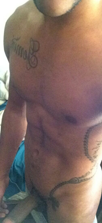 dominicanbamboo2:  DB #376 