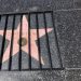 black-geek-supremacy:i-stay-armed:mirrormirror2:Beautiful Street Art in Hollywood.