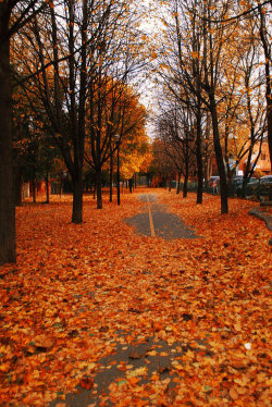 bluepueblo:  Autumn Path, Montreal, Canada