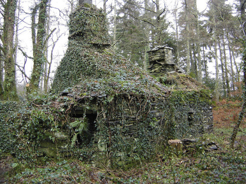 dedicatedtodecay: Derelict House by P_P_Hughes on Flickr.