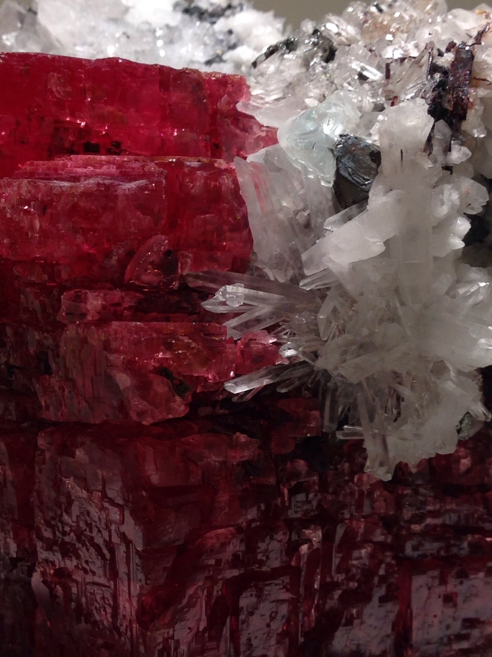 blazing-forge:  aardwolfpack:  greenapricot:  iPhone photos of rocks at the Harvard