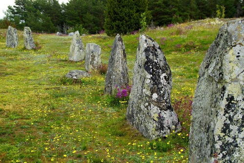 virtuallyinsane: “The stone ship or ship setting was an early burial custom in Scandinavia, No