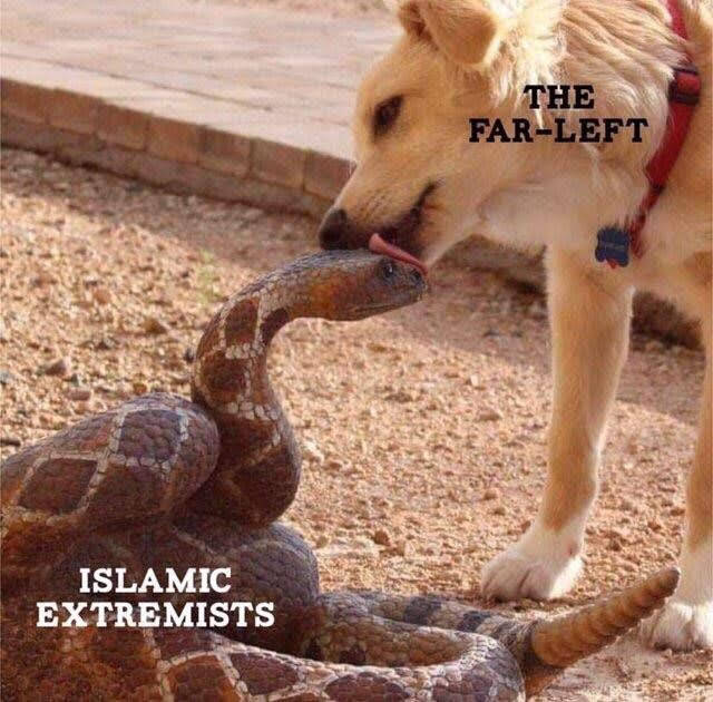 iwanttobeafirefly: letsxman2020:   southernsideofme:    Oh the irony  