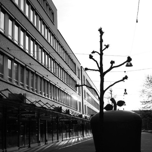 #blackandwhite #rostock #urban #sundowner #x100t #lichtturm