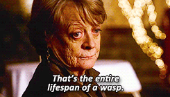 sseuregis: Sometimes it seems to me that the difference between what we want and