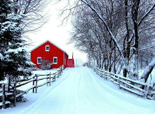 Pinterest.com