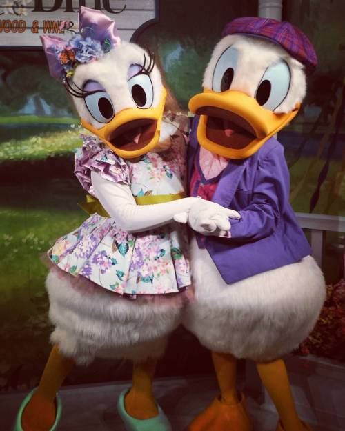 Cutest couple alert #disneyworld #hollywoodstudios #hollywoodandvine #daisyduck #donaldduck #minnies