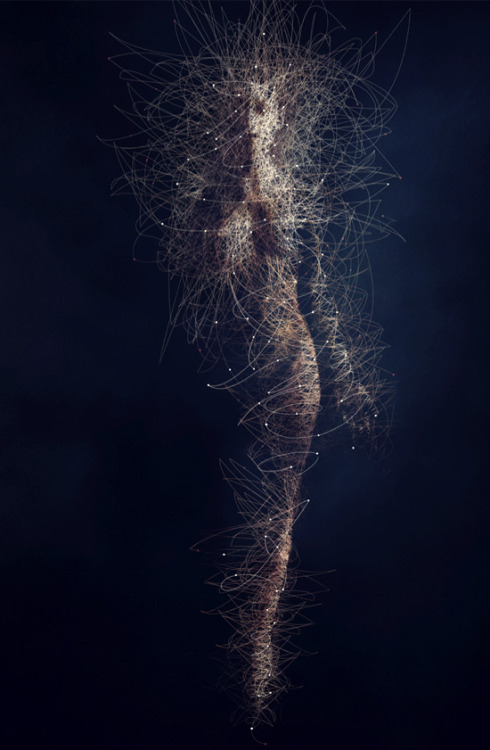 Body Microbes by Bruno Vergauwen