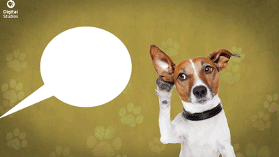 asapscience:  pbsdigitalstudios:  Two of our hosts, Joe and Vanessa, have teamed
