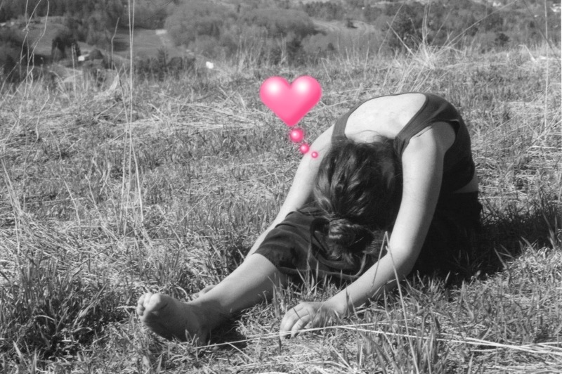 sarsenet:  heart