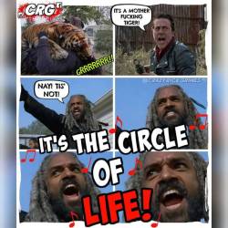 I&rsquo;m done!!! 😂🤣💀 🐯🐅 And the song started playing in my head!!! #tiger #twd #thecircleoflife