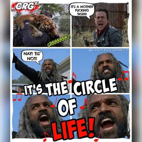 I’m done!!! 😂🤣💀 🐯🐅 And the song started playing in my head!!! #tiger #twd #thecircleoflife