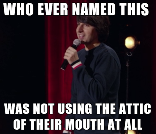 tastefullyoffensive:  From Demetri Martin: Live (At the Time) (via imgur) 