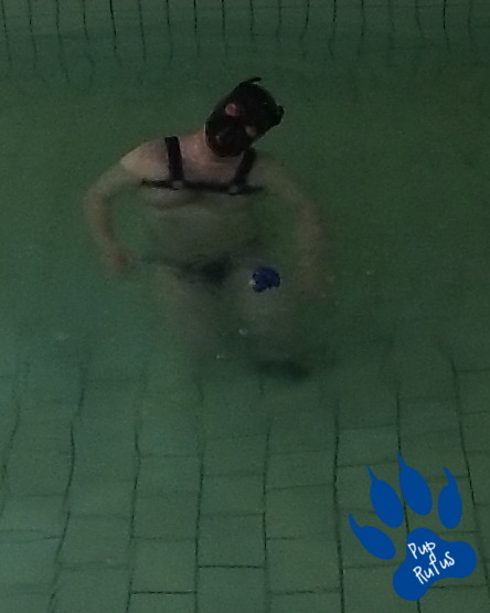 With Temperatures Reaching 30 C (86 F) Outside Rufus Was In Desperate Need For Some Cooling Down And