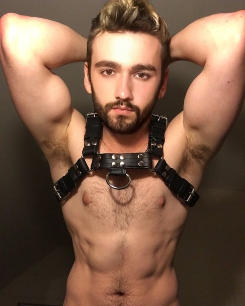 https://hairysweatysmelly.tumblr.com/post/701451062559768576