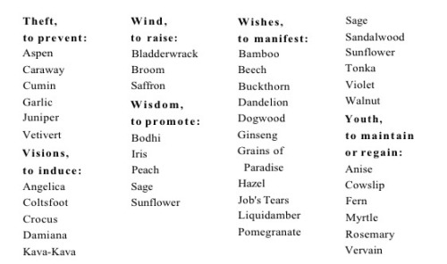 grim–witch: a reference for herbs and their magical uses !! source :: Cunningham’s Encyc