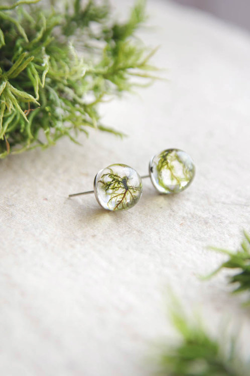 culturenlifestyle:Adorable Handmade Jewelry with Real Plants Inside by Ural NatureMarried couple Mar