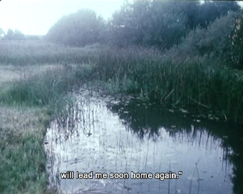 365filmsbyauroranocte: Reminiscences of a Journey to Lithuania (Jonas Mekas, 1972)