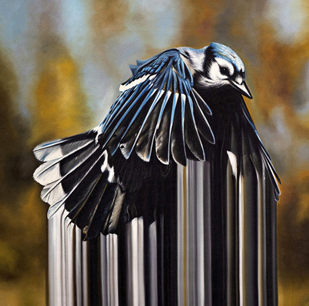 likeafieldmouse:  Maurizio Bongiovanni - Bird Rib Paintings (2010) 
