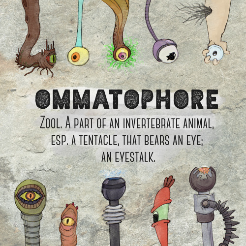 #OEDraw from 9/14:OMMATOPHORE: zool. A part of an invertebrate animal, esp. a tentacle, that bears a