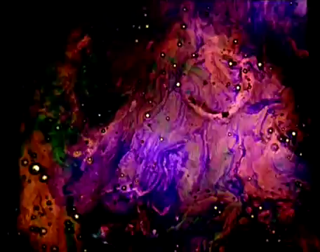 crumbargento:Stellar -  Stan Brakhage - 1993 (short film)