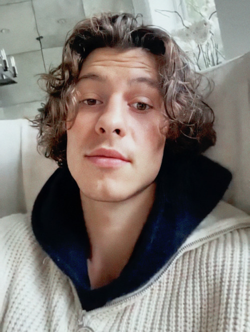 wondershawn