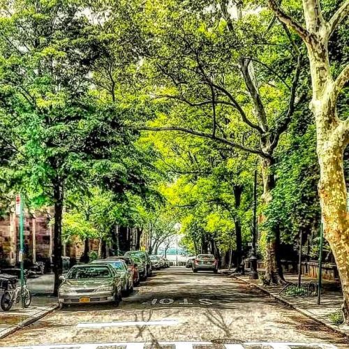 Looking westward on Grace Court from Hicks Street in #Brooklyn_Heights. www.instagram.com/p/