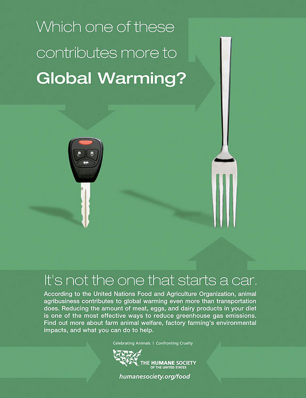 sabelmouse:  urbancheff:  Consumption of animals &amp; animal products is destroying
