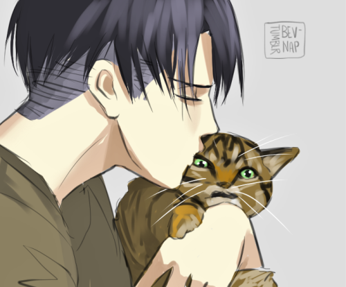 bev-nap:Yeah I ship Levi x Cats… I bet you’re so jealous of this fur ball, I know I am.