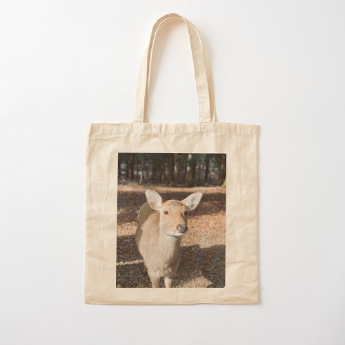 Check out all my products for this image on redbubble here! This is one of the sacred deer from Nara