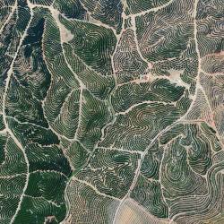 earthstory:  A pointilist painting Resembling a piece of Aboriginal art from Australia, these swirling groves of citrus trees were snapped over Spanish hillsides. Loz Image credit: Digital Globe 