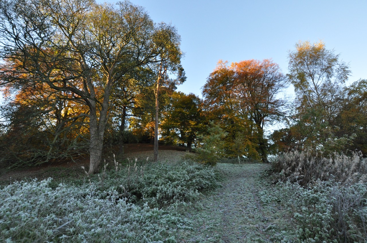 ad54mch:  Morning frost.