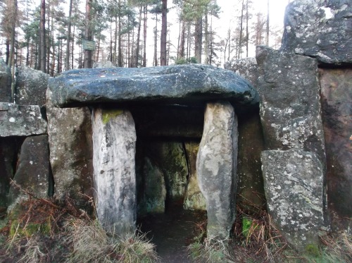 uncertainhistory: Over Christmas (bit late, I know) I visited Druid’s Temple. Situated in Nort