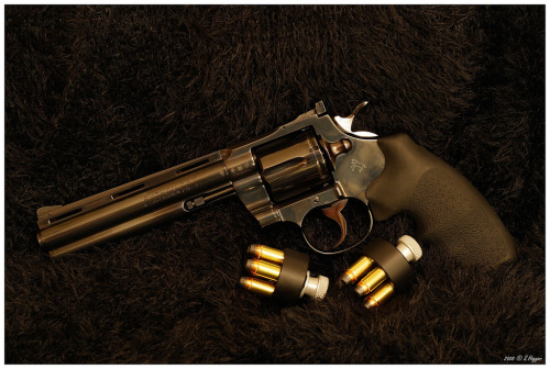Bag full of guns