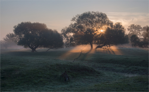 Porn Pics expressions-of-nature: by Nikolai Shahmantsir