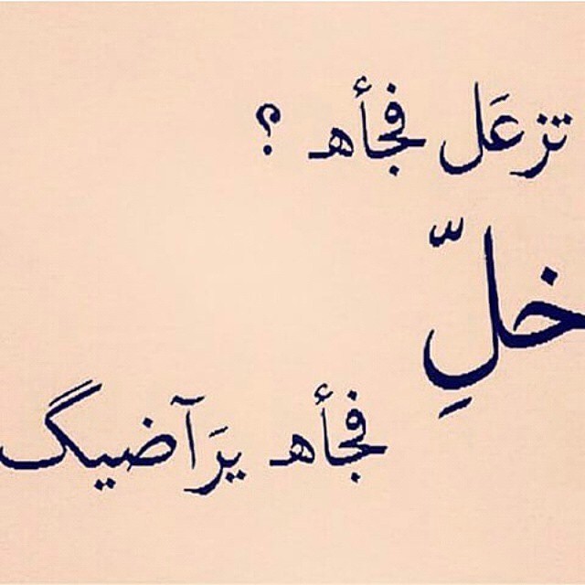 salehnour:  وفجاة 👊😂