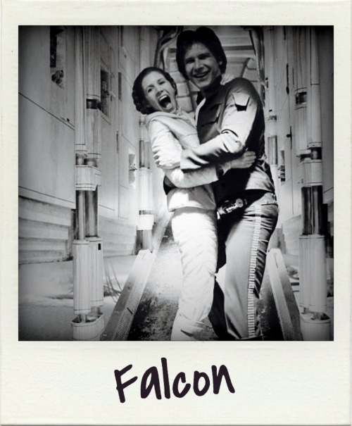 han-whos-scruffy-looking:If Han had Polaroids on his bedroom wall on the Falcon, this is what I imag