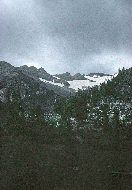 ordinair:  vintage/nature blog  